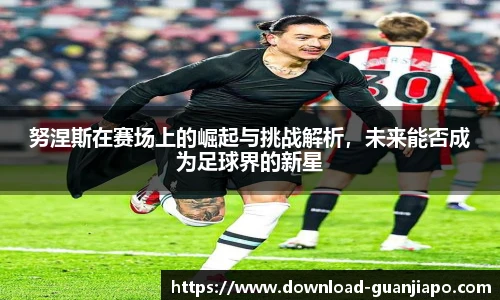 努涅斯在赛场上的崛起与挑战解析，未来能否成为足球界的新星