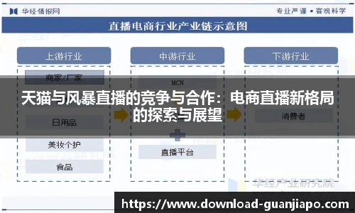 天猫与风暴直播的竞争与合作：电商直播新格局的探索与展望